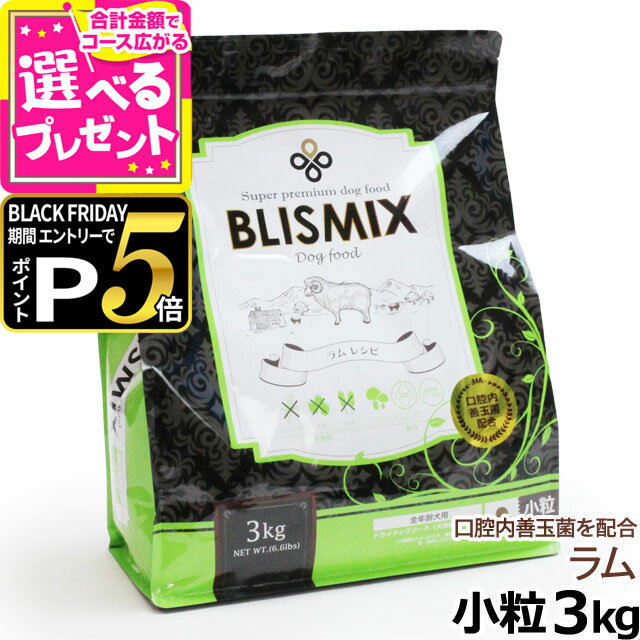 【ブラックフライデー限定!エント