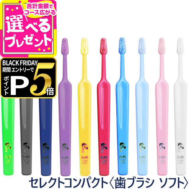 【ブラックフライデー限定!エントリーでさらにP5倍】Tepe テペ 歯ブラシ セレクトコンパクト ソフト（..