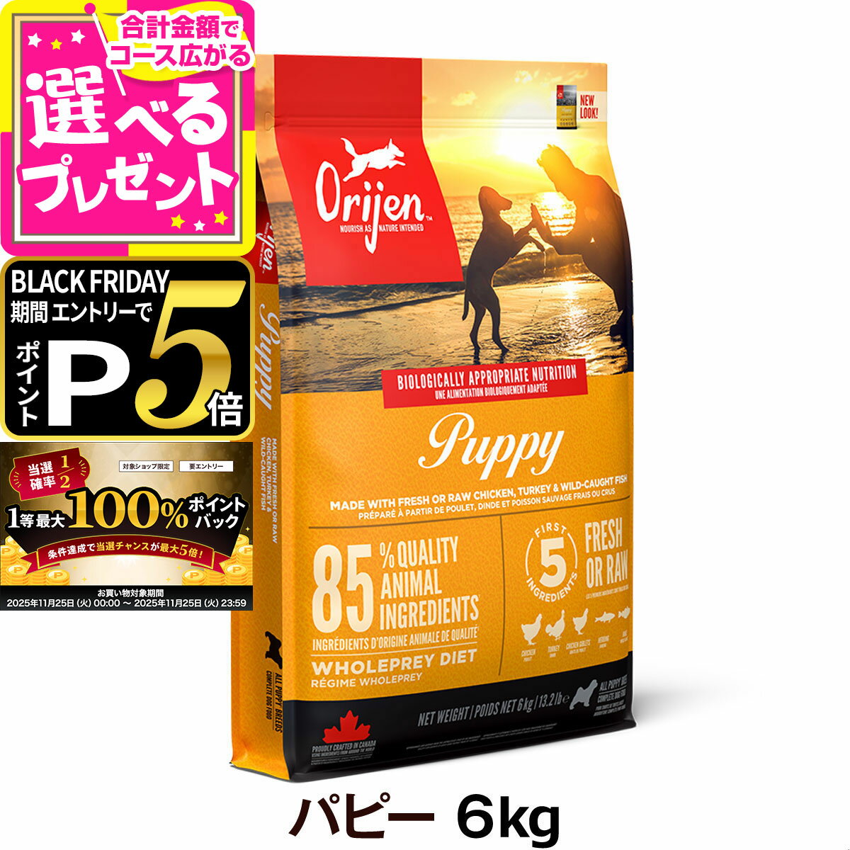 【11/25 要エントリー最大100％ポイントバック】オリジン パピー 6kg ドッグフード 犬【D】