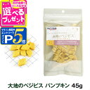 【マラソン期間限定!要エントリーでさらにP5倍】【パッケージ変更済】ナチュラルハーベストT 大地のベジビス パンプキン 45g