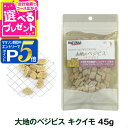 【マラソン期間限定!要エントリーでさらにP5倍】【パッケージ変更済】ナチュラルハーベストT 大地のベジビス キクイモ 45g