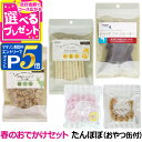 ナチュラルハーベスト 春のおでかけセット おやつセット【たんぽぽ】 数量限定 犬 おやつ ガム ジャーキー ビスケット クラッカー 鹿 ベニソン 牛皮 デンタル...