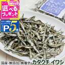 (2025年8月1日価格改定)犬 猫 おやつ 無添加 国産 がんこおやじのおやつ亭 国産 カタクチイワシ 40g ペット ドッグ キャット 猫用 犬用おやつ 猫用おやつ【Z】
