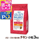 【マラソン期間限定!要エントリーでさらにP5倍】セレクトバランス パピー チキン小粒 3kg 犬 ドッグフード 子犬 母犬ドライ 仔犬 授乳期 生後1才未満 妊...
