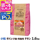 【マラソン期間限定!要エントリーでさらにP5倍】セレクトバランス グレインフリー キャット キトン チキン 小粒 1.6kg 猫 グレインフリー 穀物不使用 子...