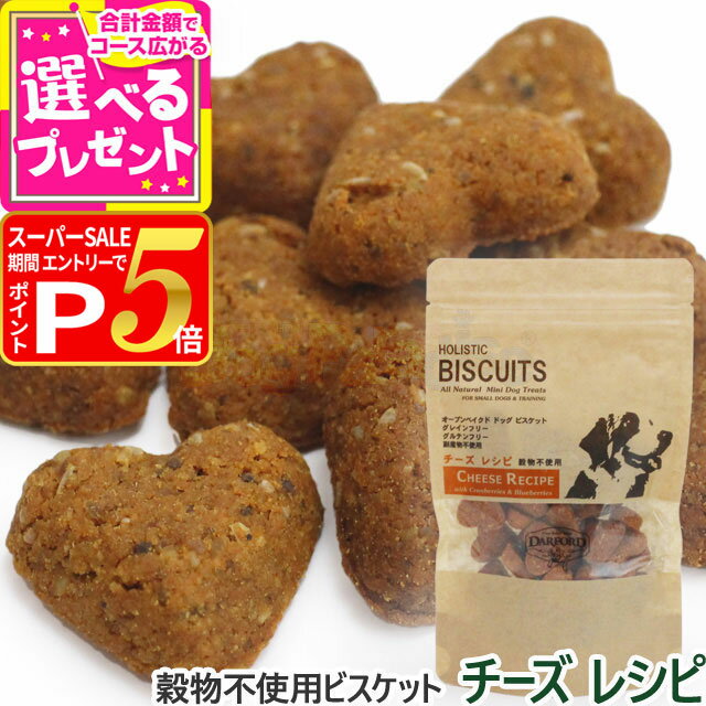 【12/5 要エントリー最大100％ポイントバック】ダルフォード グレインフリービスケット チーズ 80g【D】