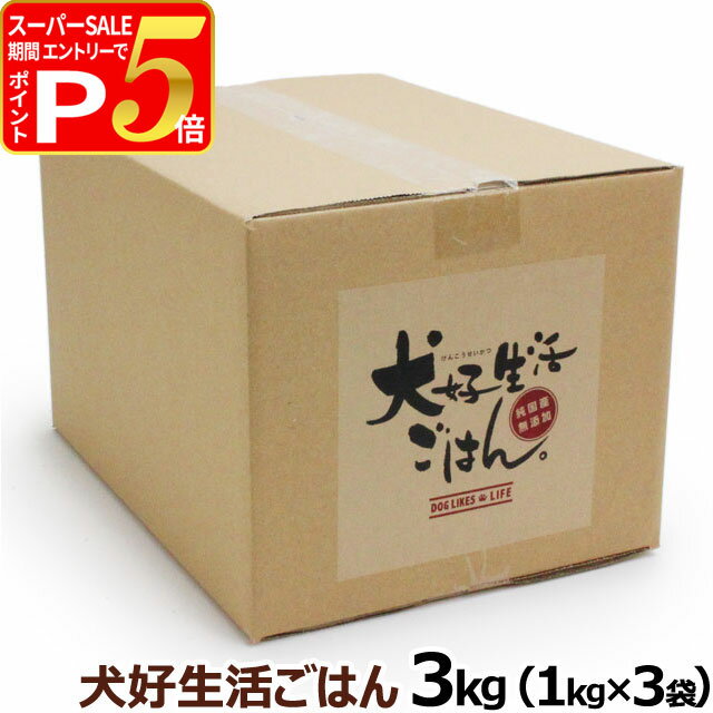 【12/5 要エントリー最大100％ポイン