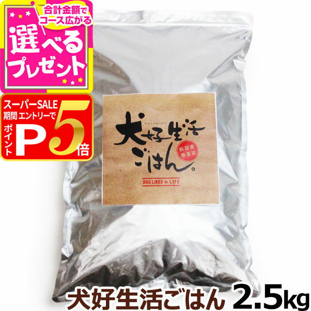 【12/5 要エントリー最大100％ポイン