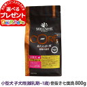 ウェルネス コア 高たんぱく質・穀物不使用 小型犬 子犬用 (離乳期～1歳) 骨抜き七面鳥 800g 小型犬 いぬ 乳酸菌 子犬 パピー 仔犬 ターキー ドッグフード ドライ グレインフリー 食物繊維 高たんぱく質