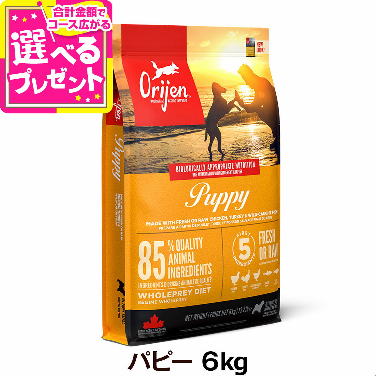 オリジンパピー6kgドッグフード犬
