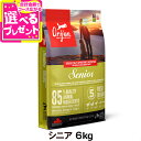 オリジン シニア 6kg ドッグフード 犬 【D】