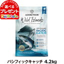 アディクション ワイルドアイランズ ドッグ パシフィックキャッチ 4.2kg 穀物不使用 グレインフリー 犬 全年齢 鴨 高タンパク質