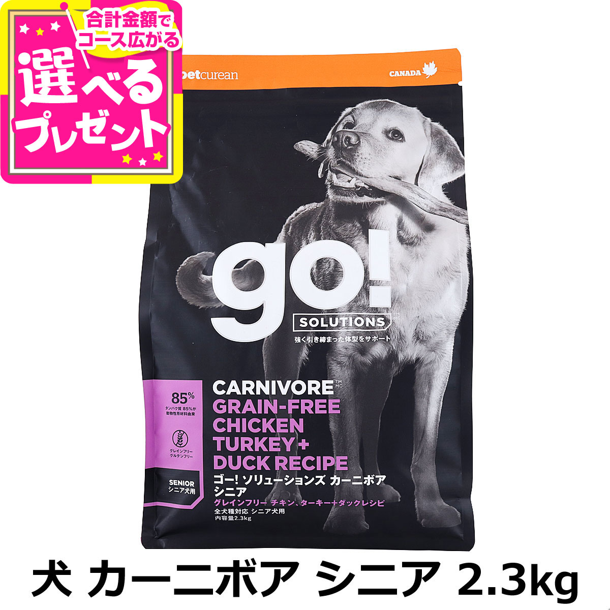 GO! ゴー ソリューションズ カーニボ