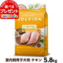 ソルビダ SOLVIDA グレインフリー チキン 室内飼育子犬用 5.8kg (ドッグフード ペット ドックフード パピー 子犬 妊娠 授乳犬 オーガニック)