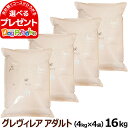 アーガイルディッシュ ドッグフード グレヴィレアアダルト 16kg(4kg×4)(通常2-5ヶ月の賞味期限で出荷)