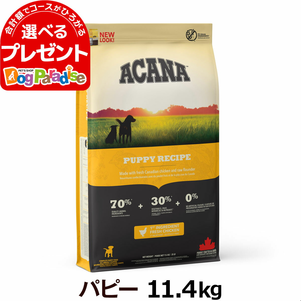 アカナ パピーレシピ 11.4kg 子犬 中型犬 チキン