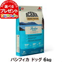 アカナ パシフィカドッグレシピ 6kg(