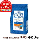 セレクトバランス アダルト チキン 中粒3kg 成犬 1才以上成犬 犬 ドッグフード select balance ドライ 低脂肪 ヘルシー 犬用品 ドック ペットフード