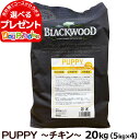 ブラックウッド パピー 20kg（分包4