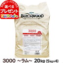 ブラックウッド 3000 20kg（分包4袋入） 犬 ドッグフード Blackwood ラム 羊 小粒 薄型 パピー 子犬 離乳後 成犬 アダルト 老犬 老齢 高齢 シニア ドライ 大袋 低温調理法 消化器 体臭 筋肉 皮膚 被毛