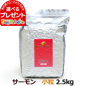 ビッグウッド ブリリアントメロウ ドライフード サーモン 小粒 5kg(2.5kg×2)【通常2-5ヶ月の賞味期限で出荷】(ドックフード ドッグフード フード 犬 ペット ペット ワンちゃん パラダイス 無添加)