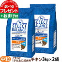 セレクトバランス アダルト チキン 中粒3kg×2個＋選べるおまけ付き