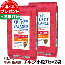 セレクトバランス パピー チキン小粒 7kg×2個＋選べるおまけ付き 犬 ドッグフード 子犬 母犬ドライ 仔犬 授乳期 生後1才未満 妊娠 ミルクプロテイン 発育サポート品 ドック 小型犬 中型犬