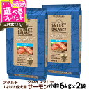 (2025年6月2日価格改定)セレクトバランス グレインフリー アダルト サーモン 小粒 6kg×2個+選べるおまけ付き 成犬 1才以上の成犬用 穀物不使用 犬...