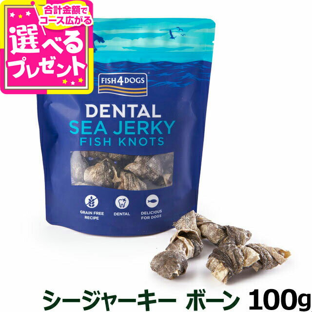 �ե��å���4�ɥå� �������㡼���� �ܡ��� 100g(�� ����� ̵ź�� Fish4 �ȥ꡼�� �ǥ󥿥륱�� �㥫���꡼ ��)��D��