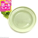 オーカッツ ヘルスウォーターシリーズ フードボウルM(ネコ 猫 グッズ フード皿 猫の食器 皿 キャット ペットボウル フードボール 猫用 ペット 食器 ヘルス...