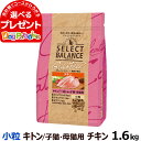 セレクトバランス グレインフリー キャット キトン チキン 小粒 1.6kg 猫 グレインフリー 穀物不使用 子猫 仔猫 ～12ヶ月までの子猫 母猫 キャットフード ドライフード アレルギー配慮