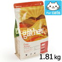 gather ギャザー フリーエーカーキャット 1.81kg （ドライキャットフード