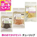 ナチュラルハーベスト 春のおでかけセット おやつセット【チューリップ】 数量限定 犬 おやつ クリスプ クランチ ビスケット 鹿 ベニソン 鶏 チキン かぼちゃ グレインフリー 国産【D】