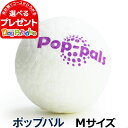 ギグウィ GiGwi プラッツ PLATZ ポップパル M(犬 おもちゃ ボール デンタル 犬のおもちゃ デンタルトイ はみがき ハミガキ 歯磨きドック ペット...