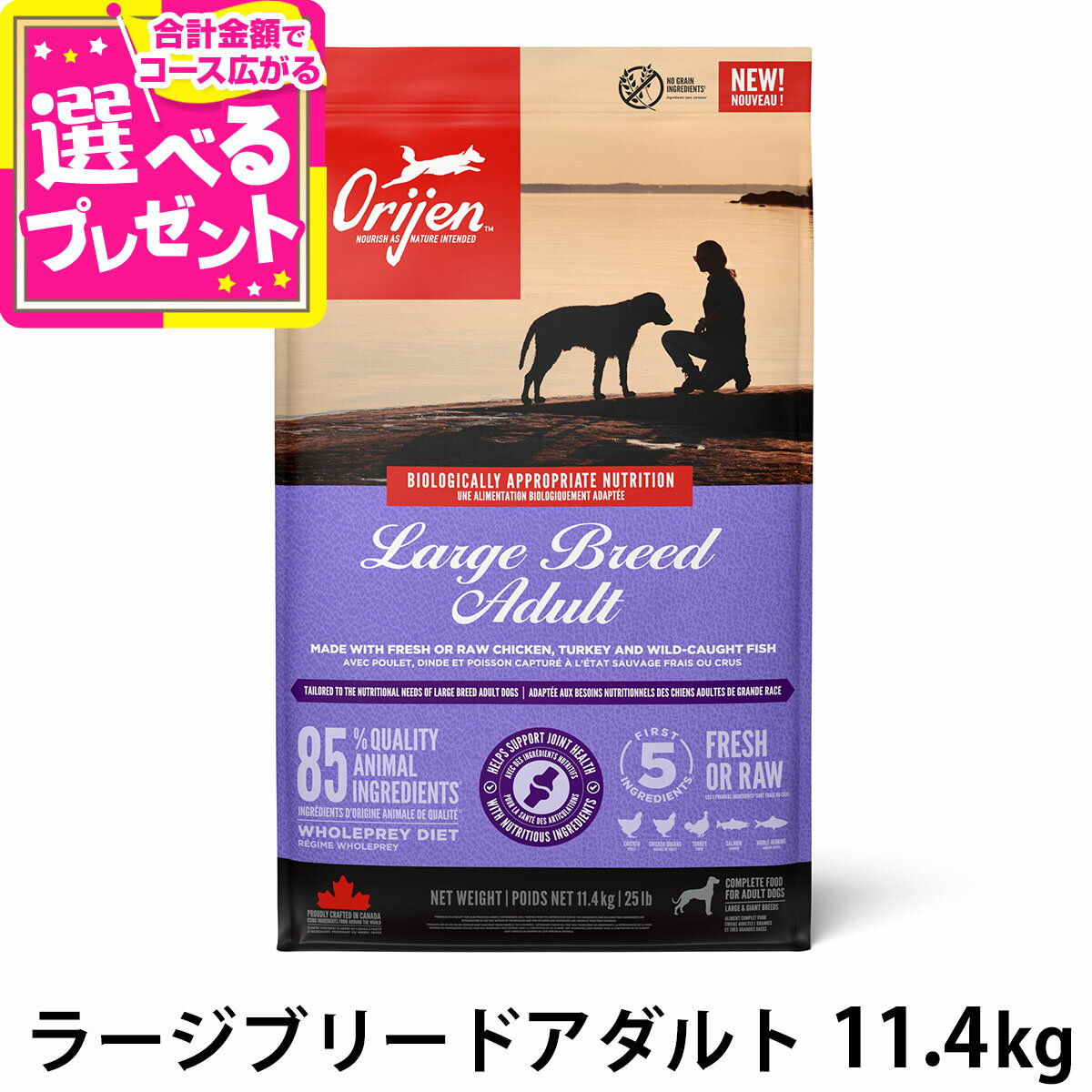 オリジンラージブリードアダルト11...