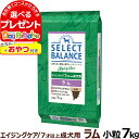 セレクトバランス エイジングケア ラム 小粒 7才以上の成犬用7kg＋おやつ付き シニア 高齢犬 犬 ドッグフード羊 米 玄米 コエンザイムQ10 オメガ6 オメガ3 ミルクプロテイン配合 ドライ