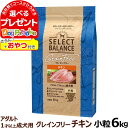 【順次パッケージ包材変更】セレクトバランス グレインフリー アダルト チキン 小粒 6kg＋おやつ付き 成犬 1才以上の成犬用 穀物不使用 犬 ドッグフード フード ドライ 穀物アレルギー配慮 心臓の健康維持