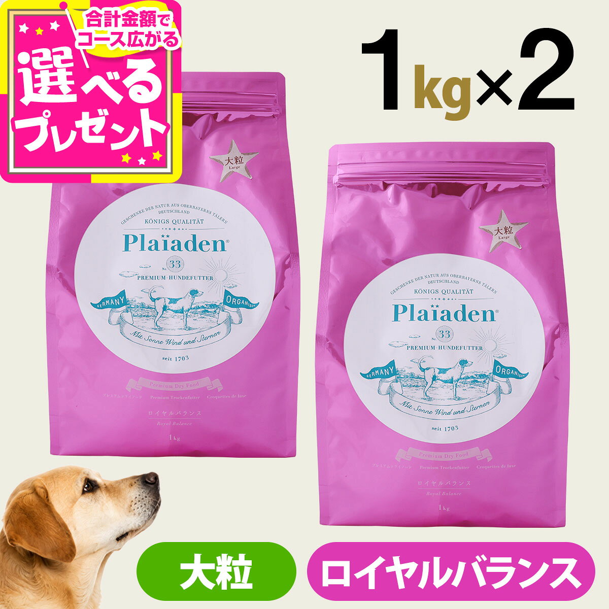 プレイアーデンプレミアムドライフー...