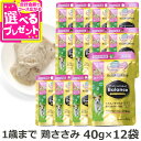 プロフェッショナルバランス パウチ 1歳まで子いぬ用 鶏ささみ 40g×12袋 まとめ買い ペットライン ウェットフード 犬 子いぬ 仔犬 パピー 国産 水分補給 ペースト ドッグフード ドックフード チキン カルシウム ペット プロフェッショナル・バランス【D】