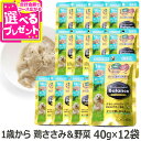 プロフェッショナルバランス パウチ 1歳から成犬用 鶏ささみ&野菜 40g×12袋 まとめ買い ペットライン ウェットフード 犬 成犬 アダルト 国産 水分補給 ペースト ドッグフード ドックフード チキン オリゴ糖 ペット プロフェッショナル・バランス【D】