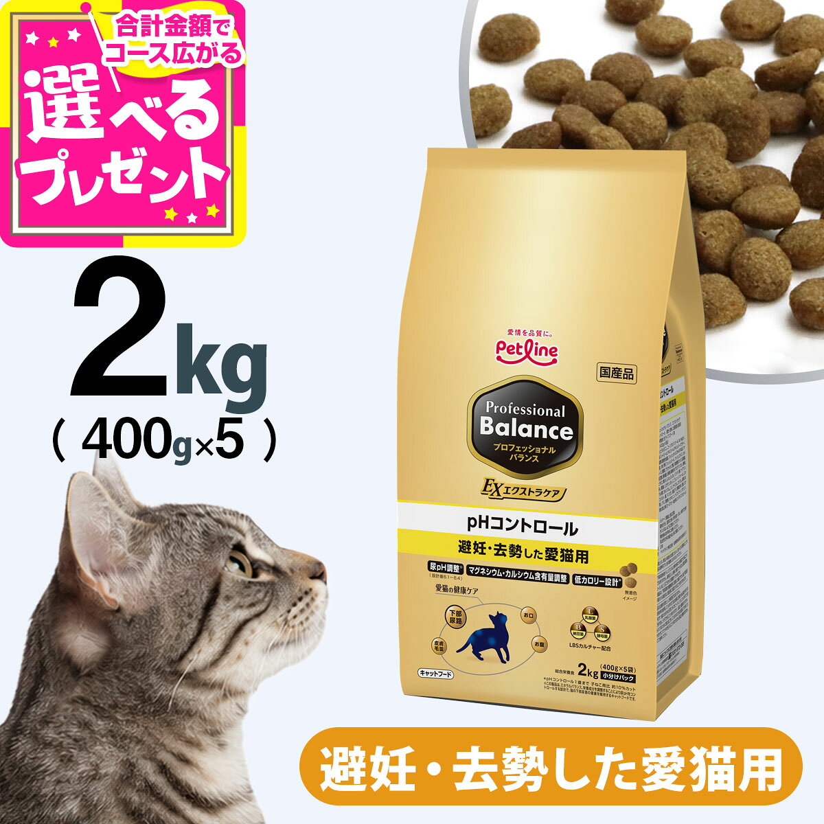 楽天市場】プロフェッショナル・バランス 猫 2kgの通販