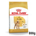 ロイヤルカナン プードル 専用フード 成犬用 800g(正規品) ドライフード ドッグフード 犬