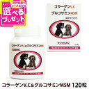 日本ビーエフ コラーゲン&グルコサミン 120粒 犬 サプリメント プロテオグリカン グルコサミン コンドロイチン 錠剤 関節 皮膚被毛【Z】
