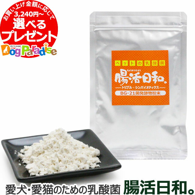 【キャンペーン中】乳酸菌 ペット サプリ 腸活日和。30g（100日分）/ネコポス対応のみ送料無料(同梱不可)(犬 猫 サプリ 乳酸菌 ビフィズス菌 BG21菌 口臭予防 粉末)