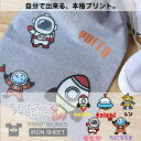 【最大800円オフクーポン!】プリントワークスお名前アイロンシート・うちゅう