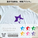プリントワークスお名前アイロンシート・アルファベット星