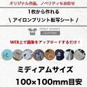 【最大800円オフクーポン!】自分でデザインするプリントアイロン転写シート【ミディアムサイズ】