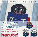 【最大800円オフクーポン！】haruteデコアイロンシール・ウィードッグス・ジーンズポケット