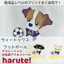 【最大800円オフクーポン！】haruteデコアイロンシール・ウィードッグス・フットボール