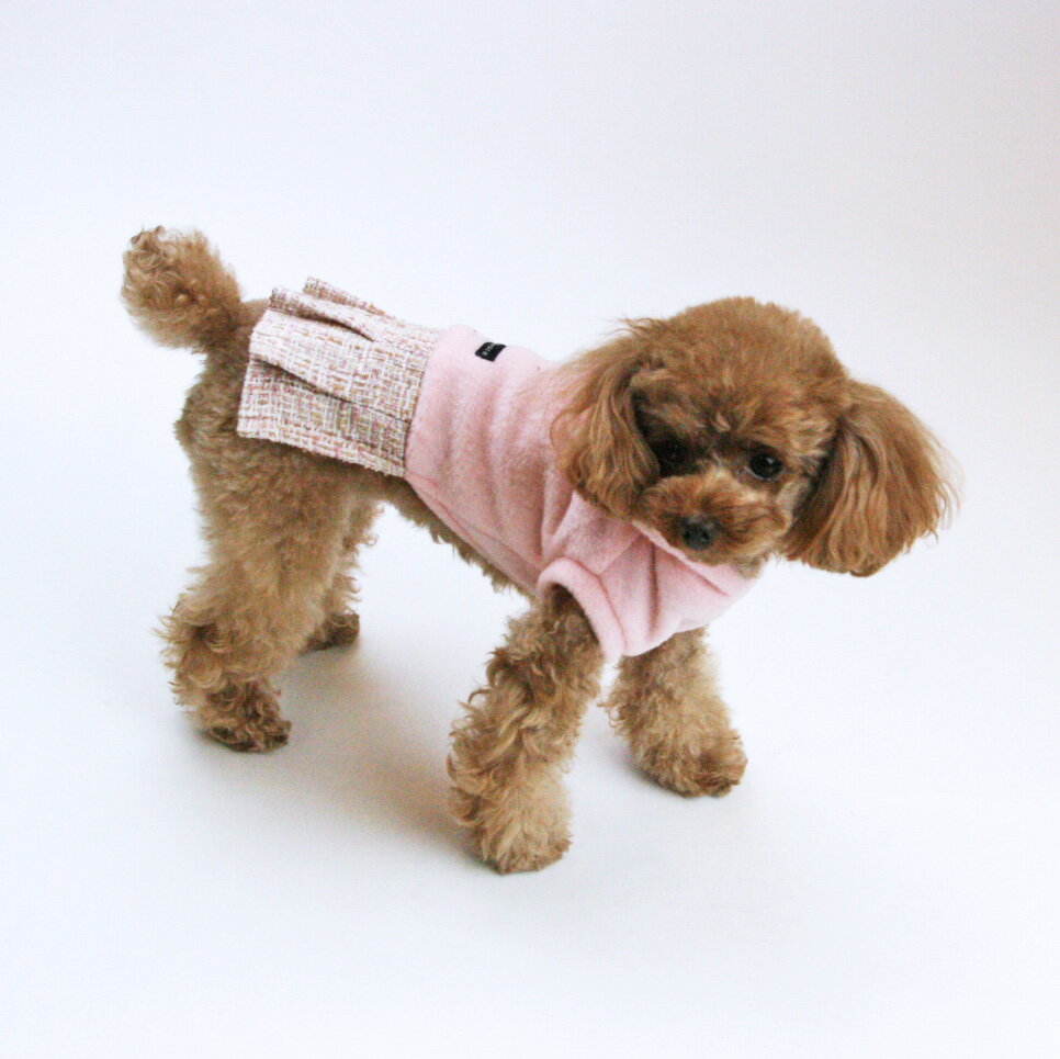 �Υץ����ǡ�������������ϥѡ��������ԡ���